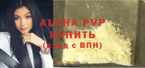 прущие грибы Бородино