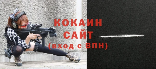 прущие грибы Бородино