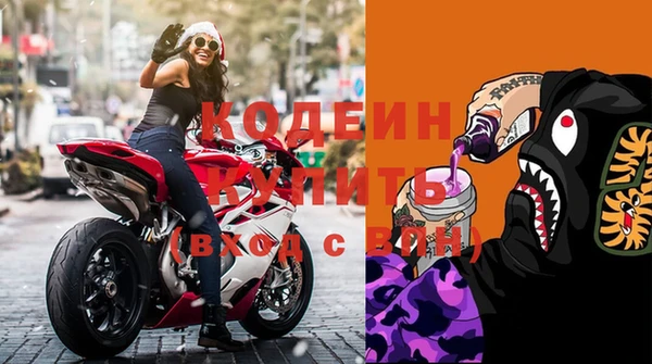 прущие грибы Бородино