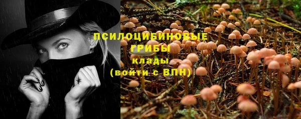 мяу мяу кристалл Богданович
