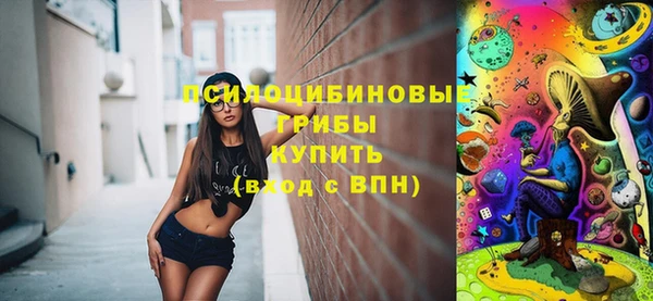 прущие грибы Бородино