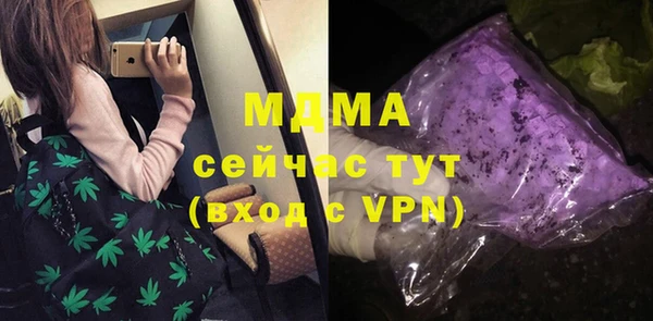 прущие грибы Бородино