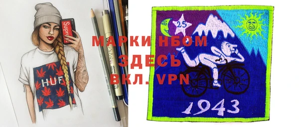 прущие грибы Бородино